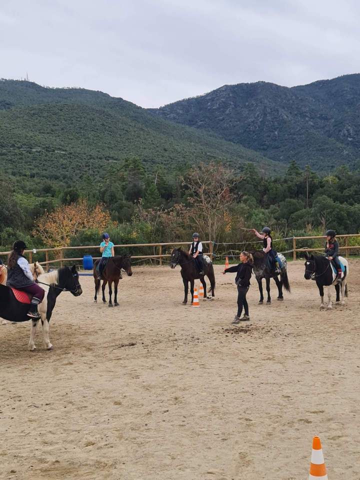 Partagez notre passion du cheval.